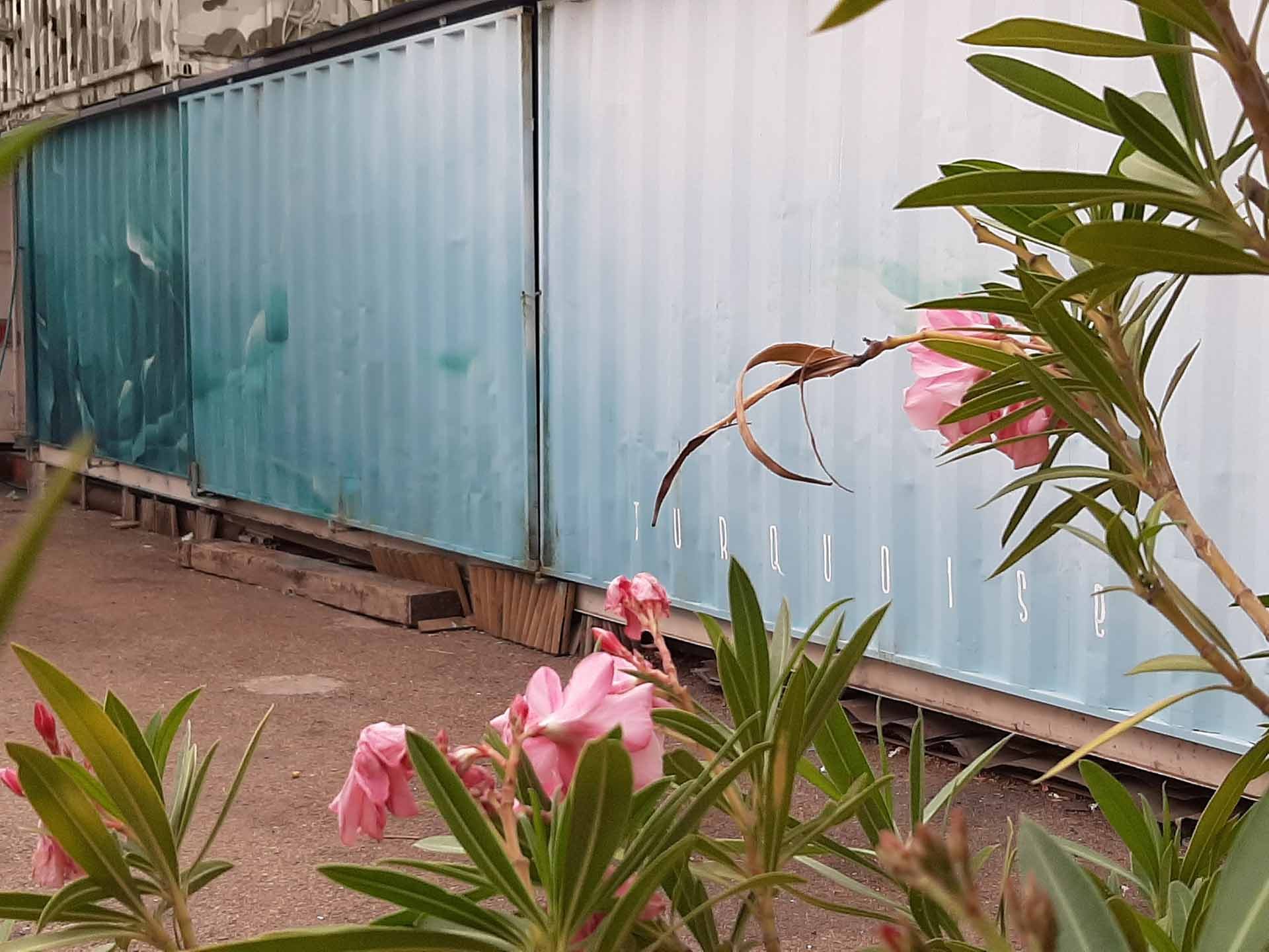 roubens-abstract-vegetal-water-street-art-paint-container-belgium-turquoise-6