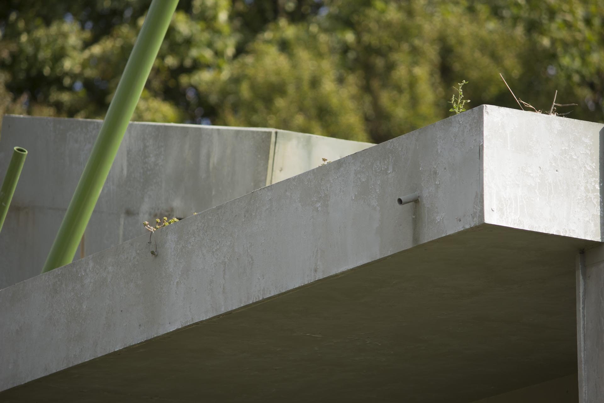 roubens-duquenne-abstract-organic-vegetal-concrete-sculpture-instal-monument-future-contemporary-paint-street-art-nature-valencienne_10