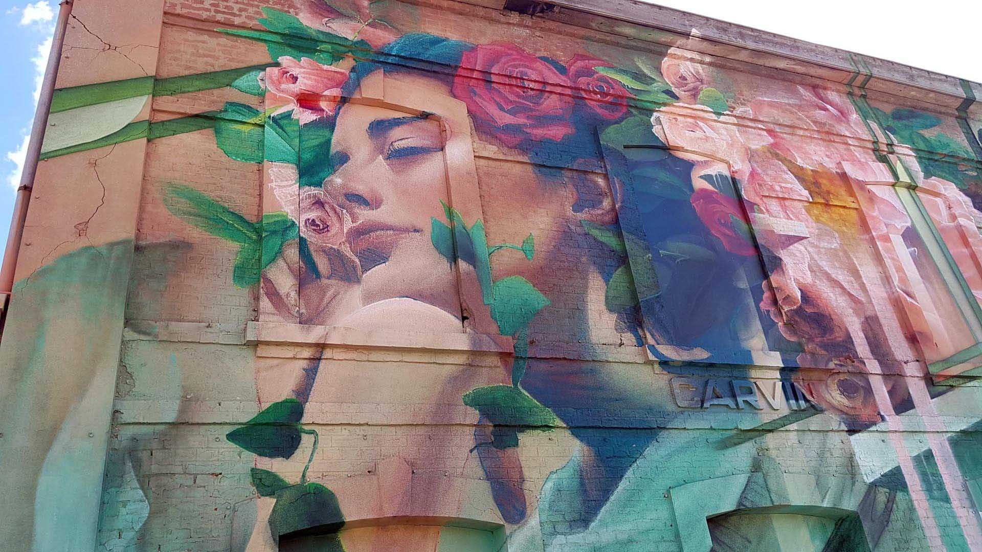 roubens-duquenne-iota-abstract-organic-vegetal-flower-contemporary-paint-landscape-street-art-natural-mural-carvin_02